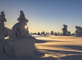Jak obliczyć dopuszczalne obciążenie regałów? Jak obliczyć dopuszczalne obciążenie regałów?