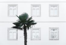 Co jest lepsze Windows 10 czy 11? Co jest lepsze Windows 10 czy 11?