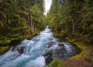 Ile kosztuje Rapid?