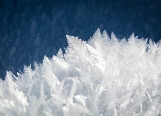 Jak szybko zrobić lód do drinków? Jak szybko zrobić lód do drinków?