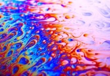 Z czym można podać mix sałat?