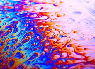 Z czym można podać mix sałat? Z czym można podać mix sałat?