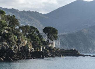 Ile kosztuje talerz?